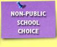 NonPublicChoice